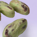 PISTACHIO