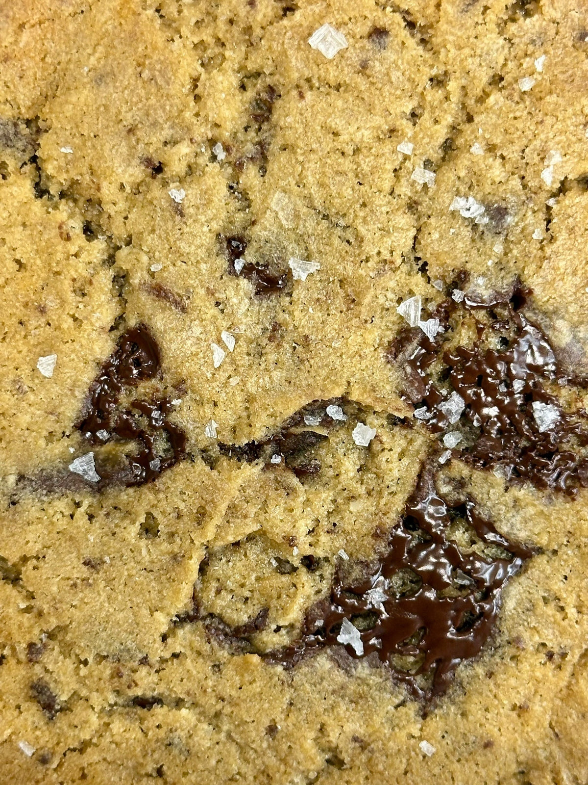 THE COOKIE