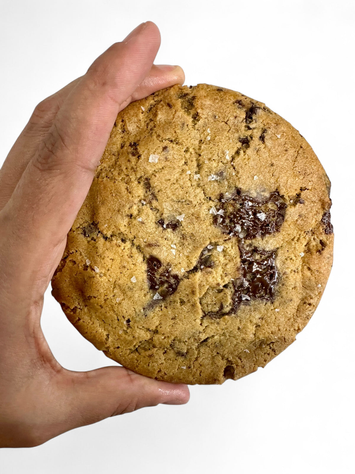 THE COOKIE - HALF DOZEN